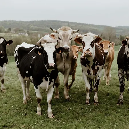 Chateau De Maison d'hôtes Vauchelles-lès-Domart