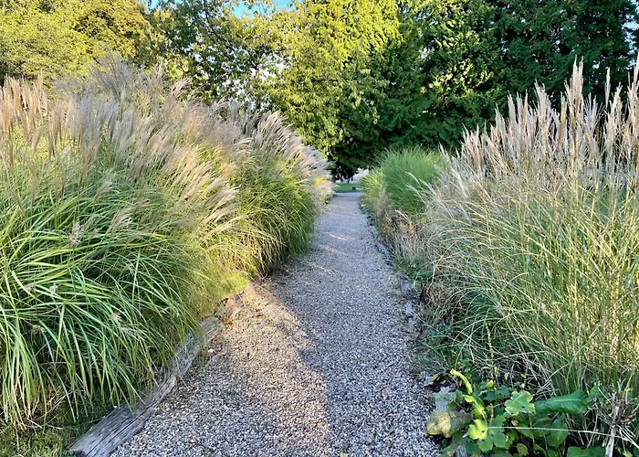 Chateau De Guest house Vauchelles-les-Domart