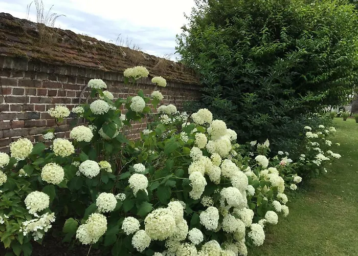 Chateau De Vauchelles-lès-Domart
