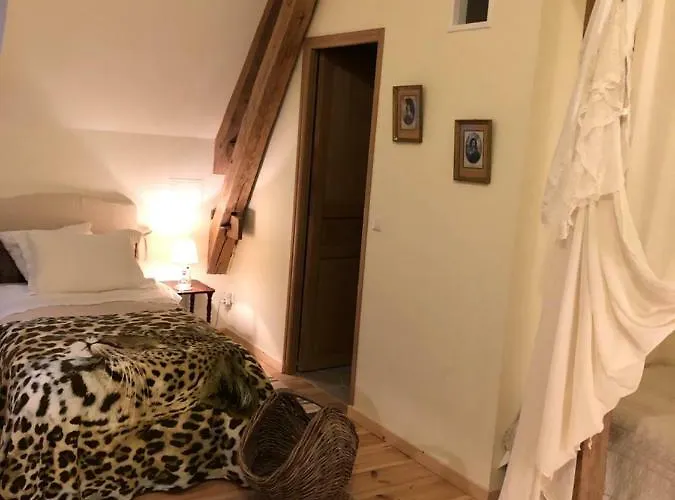 Chateau De Guest house 4*